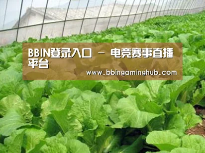 种植基地一