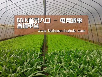 种植基地四