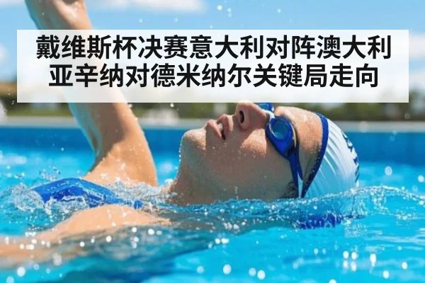 戴维斯杯决赛意大利对阵澳大利亚辛纳对德米纳尔关键局走向